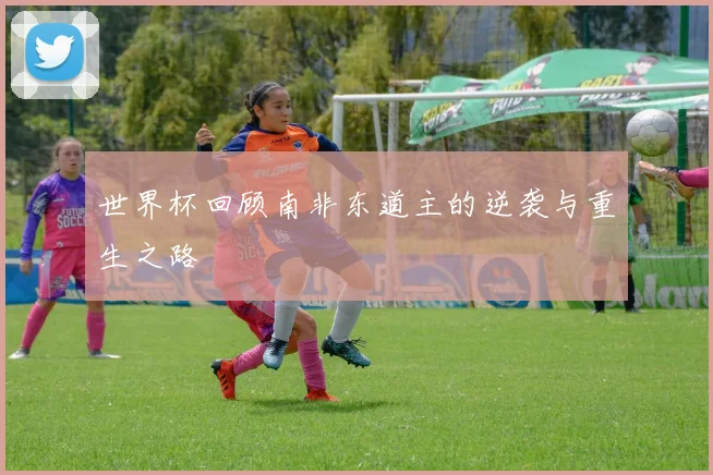 世界杯回顾南非东道主的逆袭与重生之路