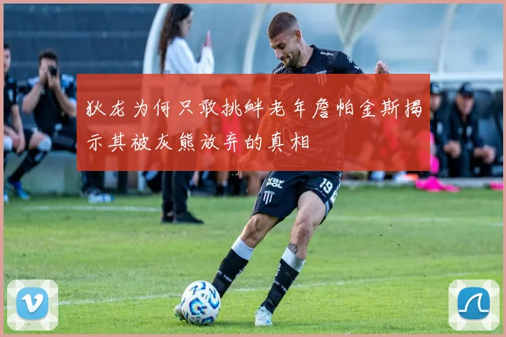 狄龙为何只敢挑衅老年詹帕金斯揭示其被灰熊放弃的真相